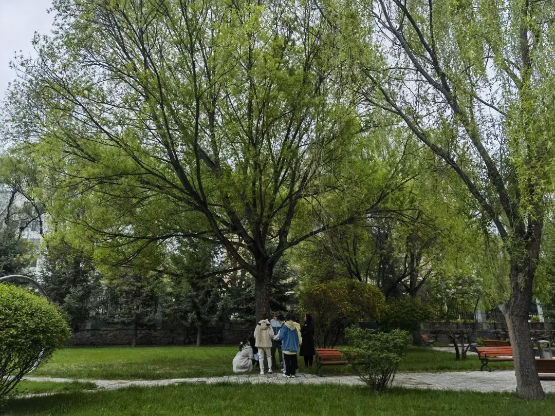 微信圖片_20230511111213.jpg